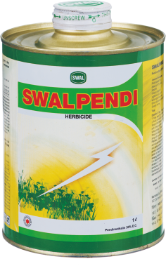 SWAL PENDI